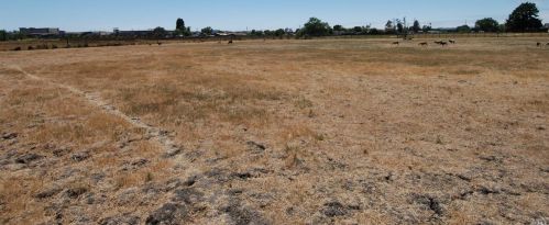 4521 Dowdell Ave, Santa Rosa, CA 95407-5601