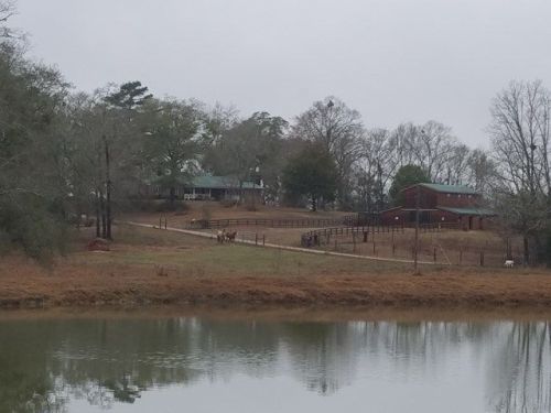 10160 Highway 123, Ariton, AL 36311-6330