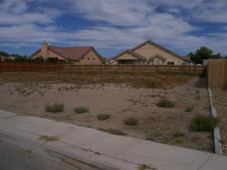1151 Whitehawk Dr, Fallon, NV 89406-4410