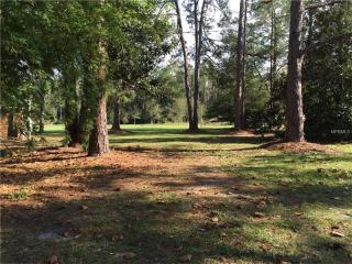 46002 State Road 19, Altoona, FL 32702-8802