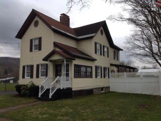 36 Maydole St, Springvale, NY 13815-1931