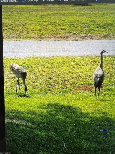 4006 14 St, Lehigh Acres FL  33971-5022 exterior