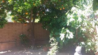 7869 Linden Pl, Tucson, AZ 85715-4543