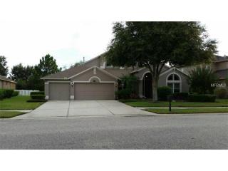 16522 Ivy Lake Dr, Odessa, FL 33556-6016
