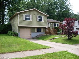 600 Trailwood Dr, Concord Township, OH 44077-2802