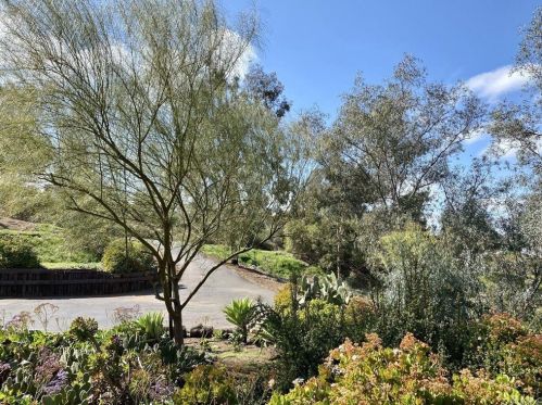 12036 Serena Rd, Lakeside, CA 92040-1347