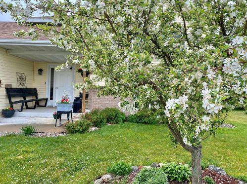 5310 16th St, Saint Cloud, MN 56303-0828