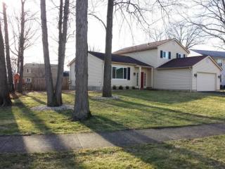 7825 Spirowood St, Dublin, OH 43016-9716