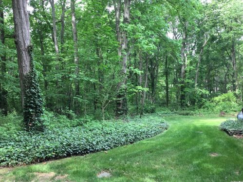 24 Maplewood Dr, Northport, NY 11768-3432