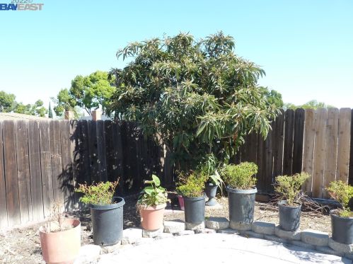 268 Royce Way, West Pittsburg CA  94565-4700 exterior