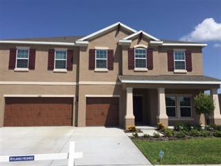 13811 Artesa Bell Dr, Riverview, FL 33579-2393