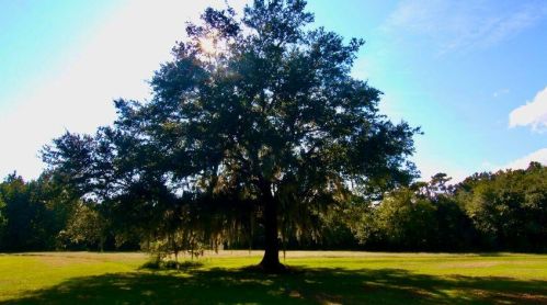 3189 Edenvale Rd, Johns Island SC  29455-7536 exterior