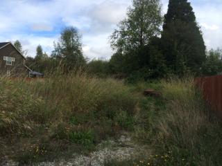 11411 Waller Rd, Tacoma, WA 98446-2113