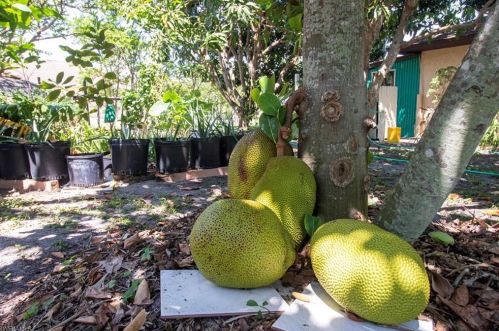 2225 2nd St, Cape Coral FL  33909-2876 exterior