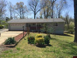 118 Ravine Dr, Lakeview, AR 72642-7095