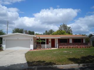 4401 Foreland Pl, Orlando, FL 32812-1932