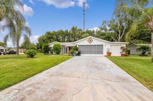 10245 176th St, Summerfield, FL 34491-6903