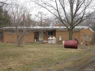 801 Tinkham Rd, Cowlesville, NY 14011-9546