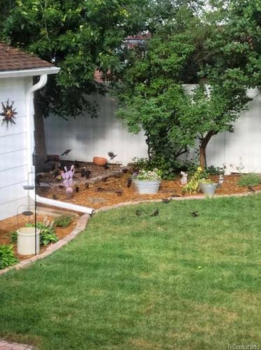 2883 Otis St, Denver CO 80227-3528 exterior