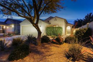 18528 Bridger St, Sun City, AZ 85388-1839