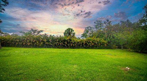 16141 Calder Dr, Town Of Loxahatchee Groves FL  33470-4139 exterior