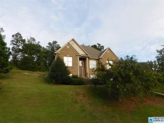 65 Mason Dr, Branchville, AL 35120-6980