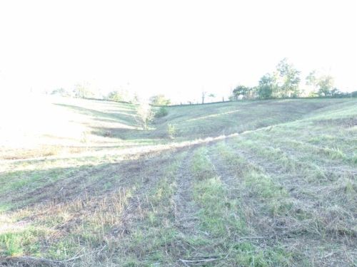 1148 Porter Rd, Sadieville, KY 40370-9595