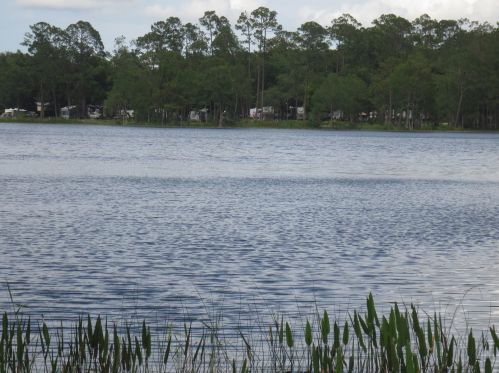 749 130th Terrace Rd, Silver Springs FL  34488-3528 exterior
