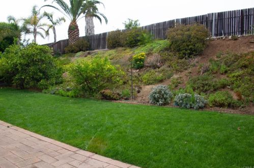 4946 Park Dr, Carlsbad CA  92008-3812 exterior