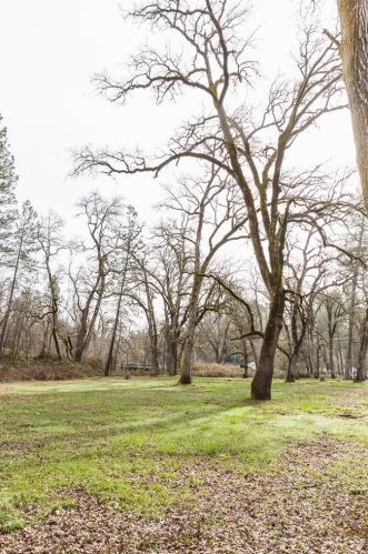 1395 Oak View Ln, Meadow Vista CA  95722-9313 exterior