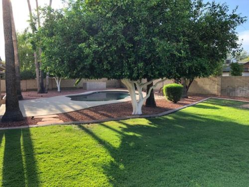 5850 Voltaire Ave, Scottsdale, AZ 85254-3734