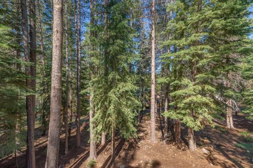 11720 Mougle Ln, Truckee CA  96161-6108 exterior