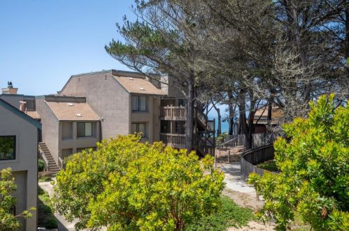 220 Palmetto Ave, Pacifica, CA 94044-1374