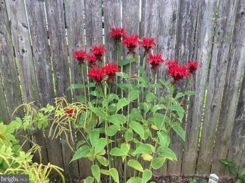 546 Orange St, Lancaster PA  17603-3669 exterior