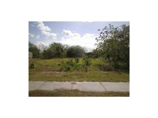 16921 1st St, Alva, FL 33920-4132