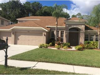 2428 Brinley Dr, New Port Richey, FL 34655-5164