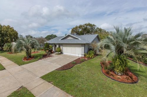 9139 Millers Pond Ave, New Port Richey, FL 34655-1519
