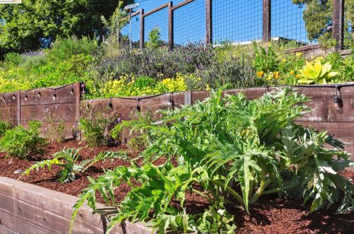 8017 Crest Ave, Oakland CA  94605-3611 exterior