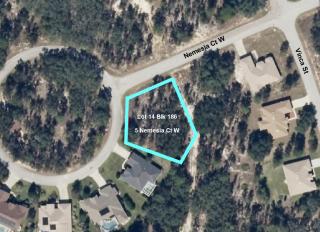5 Nemesia Ct, Homosassa, FL 34446-5734