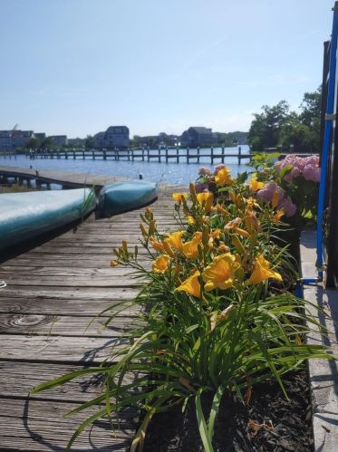 2510 Sylvan Dr, Point Pleasant Beach NJ  08742-4253 exterior