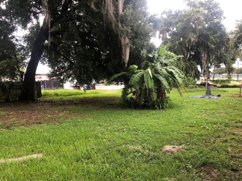 1280 Summerlin St, Bartow FL  33830-5017 exterior