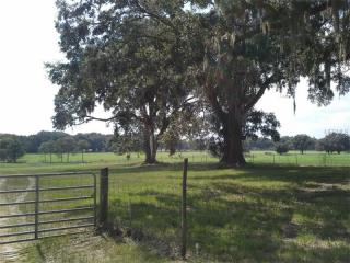 11242 County Road 229, Oxford, FL 34484-3356