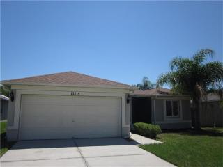 13215 Prestwick Creek Dr, Riverview, FL 33579-4019