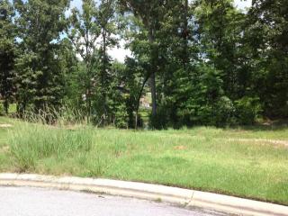 76 Halma Ct, Irmo SC  29063-9580 exterior