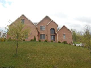 1029 Brettwald Dr, Morgantown, WV 26508-9413