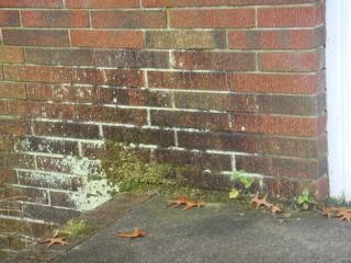 1709 Washington Ave, Vineland NJ  08361-8415 exterior