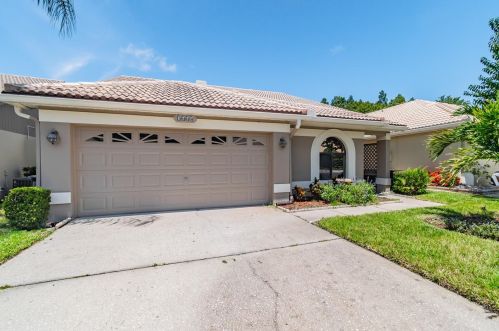3664 Darston St, Palm Harbor FL  34685-1182 exterior