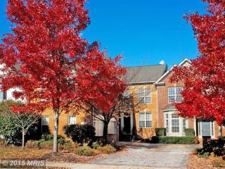 43402 Westchester Sq, Leesburg, VA 20176-3944