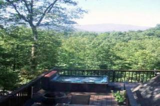 943 Scenic Trl, Gatlinburg, TN 37738-6317