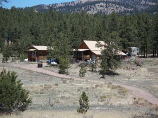 925 Black Fawn Ln, Horn Creek, CO 81252-9604